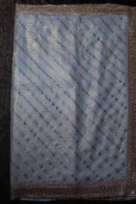 Celestial Grace Fancy Saree - Image 2