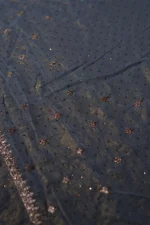 Celestial Grace Fancy Saree - Image 3