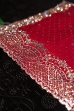 Sindura Noor Fancy Saree with Blouse - Image 2